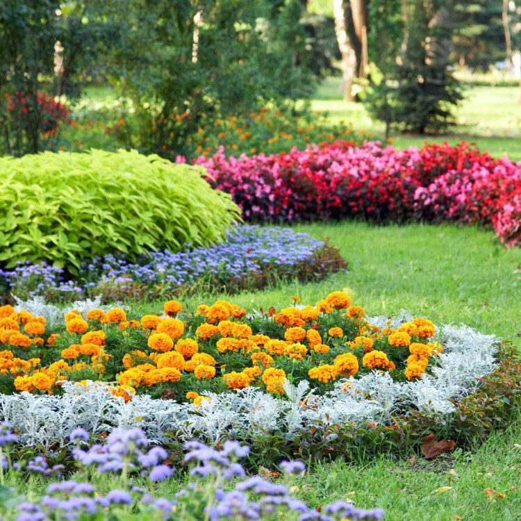 Backyard services in McKinney, TX