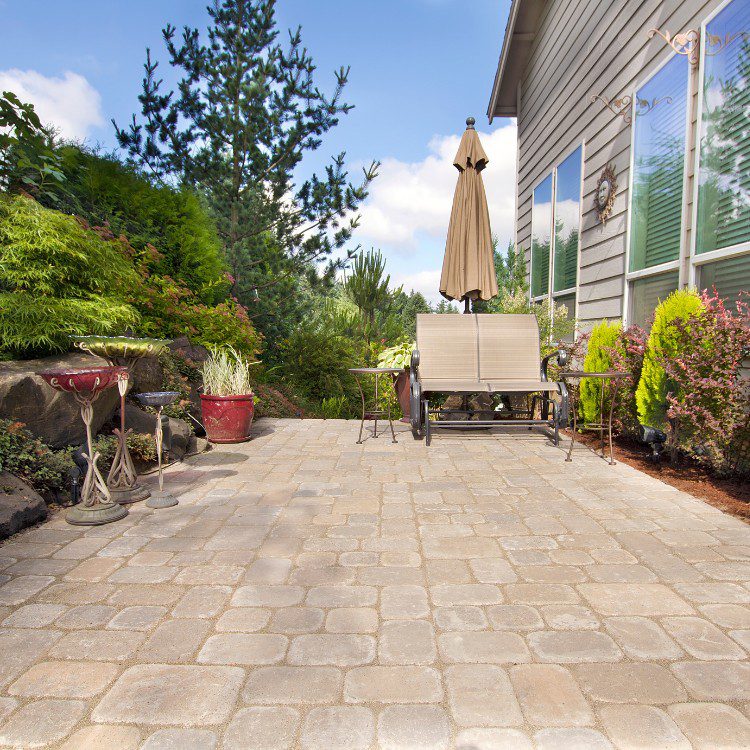 Backyard services in McKinney, TX