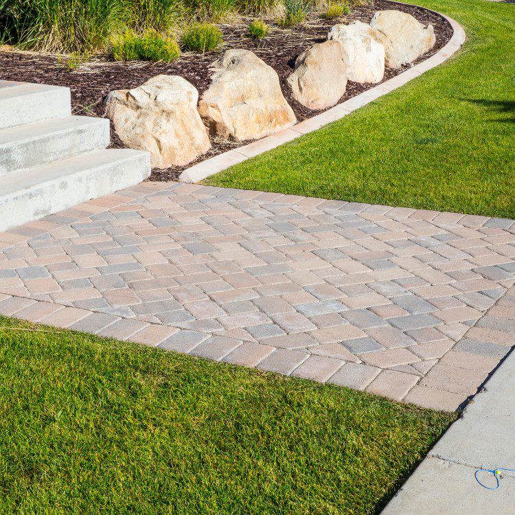 Backyard services in McKinney, TX Backyard services in McKinney, TX